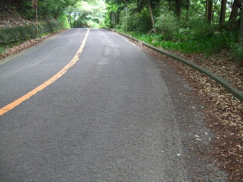 2012_0605Ȣ��0047