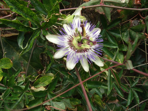 2011_1011¾ÅÆîÊ¿0016