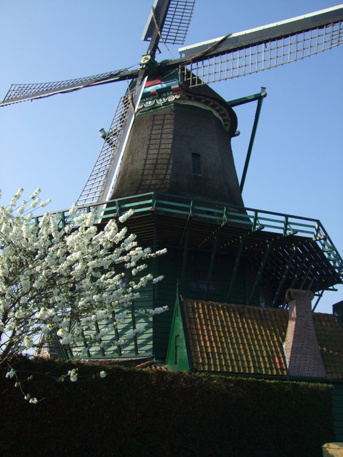 2007_0417オランダ0740