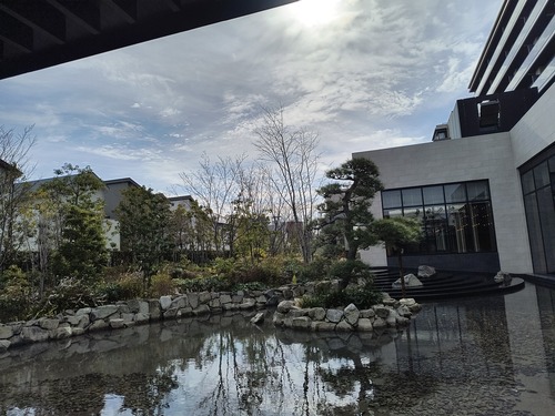 IMG_20260318_091008475_HDR