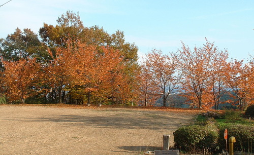 2007_1202Ƴλºµ¢¤êGH0026