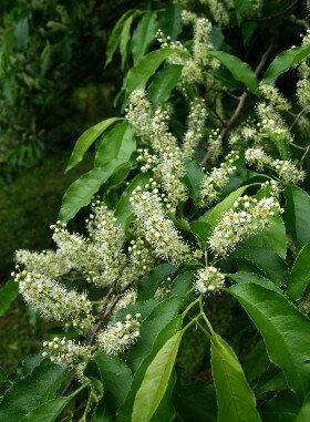 ���̥����飱