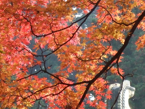 2007_1202¹ä»Ë¾»»Òº§Ìó0072