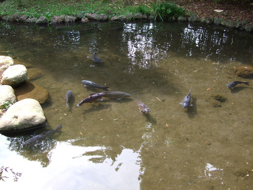 2008_0827����0039