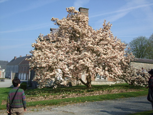 2007_0417オランダ0382