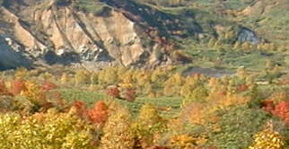 DSCF0003-2