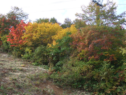 2007_1017��������0043