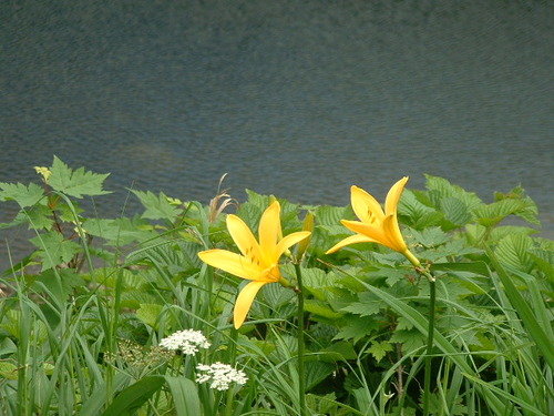 DSCF0009