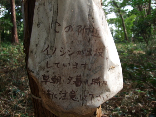 2011_1011¾ÅÆîÊ¿0030