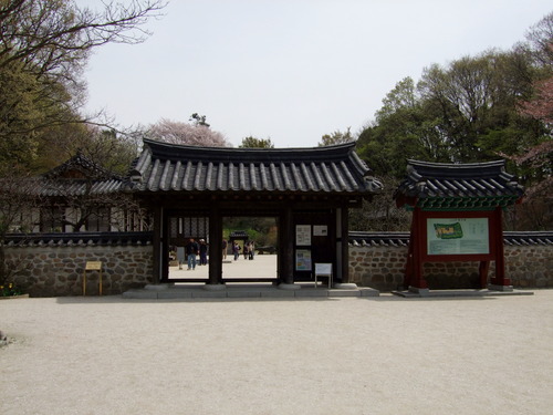 2008_0405三つ池のさくら0034