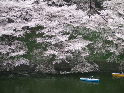 2008_0402H19��0128