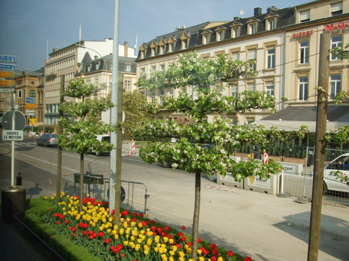 2007_0417オランダ0461