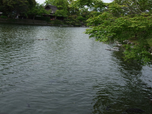 2008_0423熊本0029
