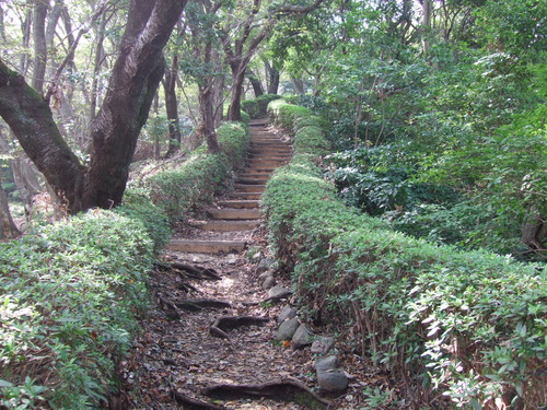 2011_1011¾ÅÆîÊ¿0041