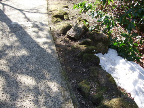 2008_0218南房総0022