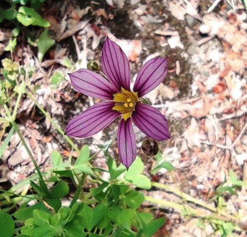 �˥良�����祦 (2)