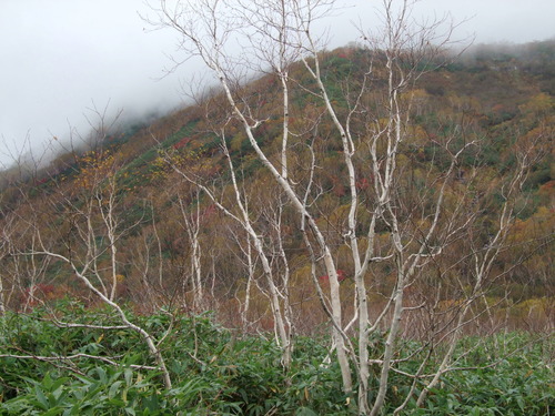 2007_1017��������0136