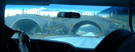 2005_1024�Σ�30099