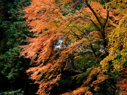 2007_1202¹ä»Ë¾»»Òº§Ìó0086