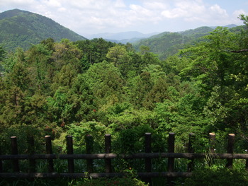 2012_0513河村城0064