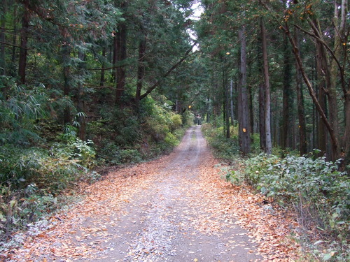 2007_1202¹ä»Ë¾»»Òº§Ìó0028