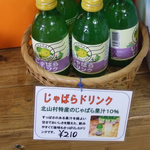 2010_0928南紀0060