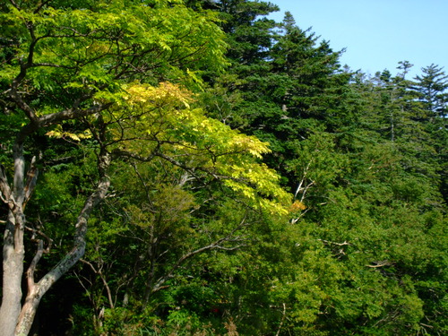 2007_0924礼文ー利尻ー10184