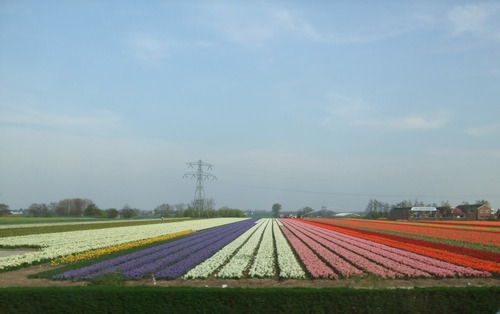 2007_0417オランダ0639