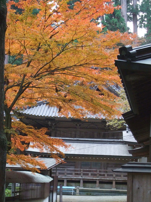 2007_1202¹ä»Ë¾»»Òº§Ìó0100