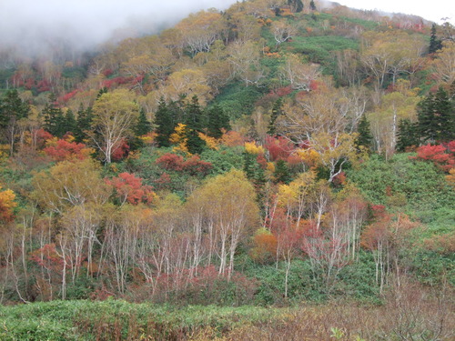 2007_1017��������0132