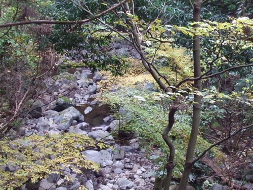 2007_1202¹ä»Ë¾»»Òº§Ìó0033