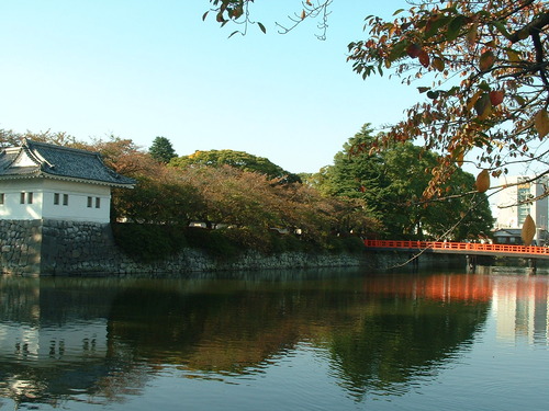 2007_1004¾®Åĸ¶ÈͶ£²0075