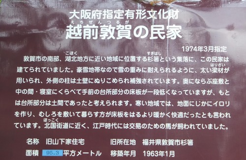 DSCF8267_0000