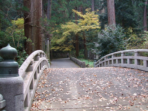 2007_1202¹ä»Ë¾»»Òº§Ìó0057