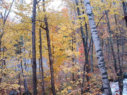 2005_1020첽ٻΥե०0062