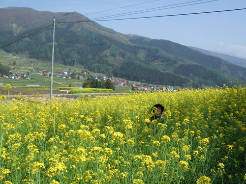 2007_0509¿®½£0147