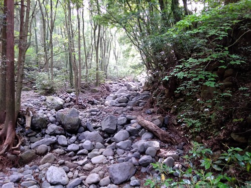 IMG_20200512_154731_BEAUTY