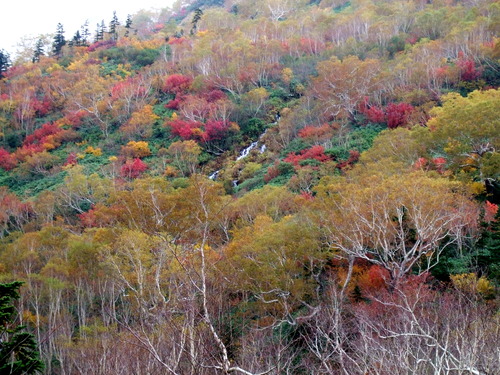 2007_1017��������0158