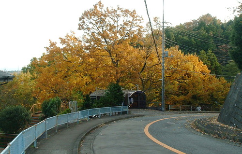 2007_1202Ƴλºµ¢¤êGH0014