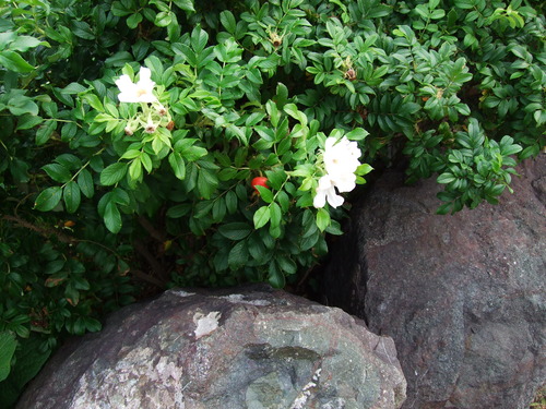 2007_0924��ʸ����������0115