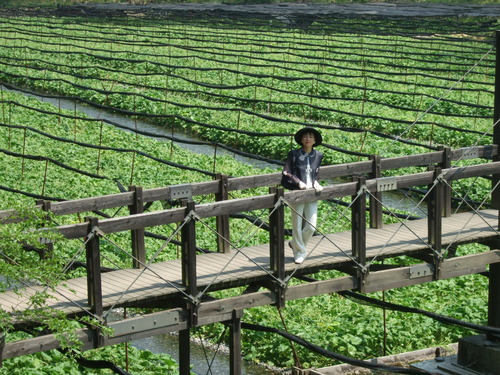 2007_0509¿®½£0215