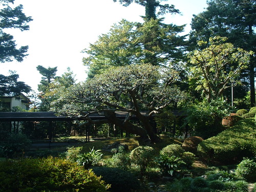 2007_1004¾®Åĸ¶ÈͶ£²0031