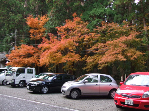 2007_1202¹ä»Ë¾»»Òº§Ìó0055