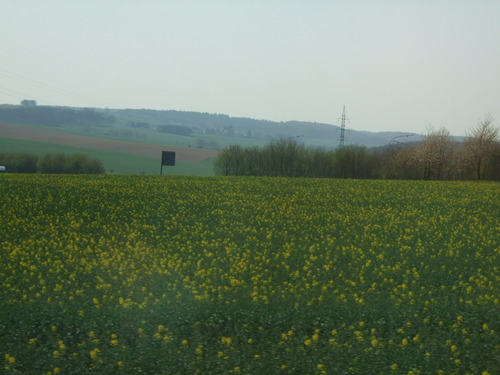 2007_0417オランダ0416