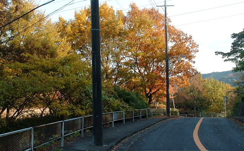 2007_1202Ƴλºµ¢¤êGH0025