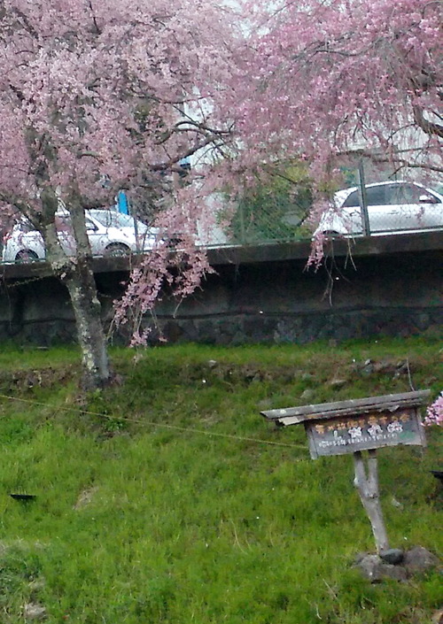 IMG_20230402_144254-1