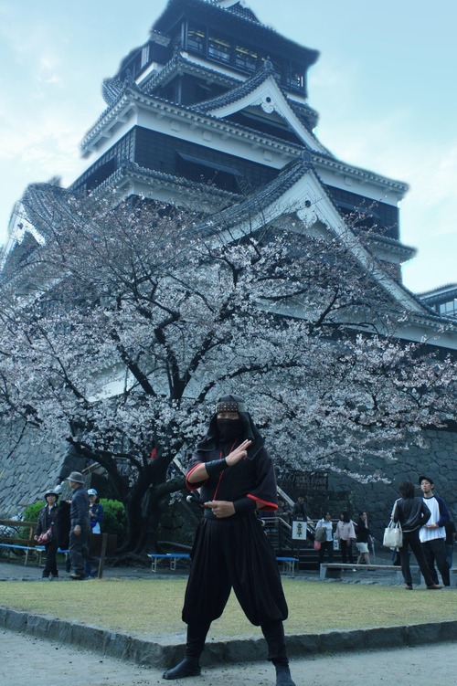 IMG_2646����