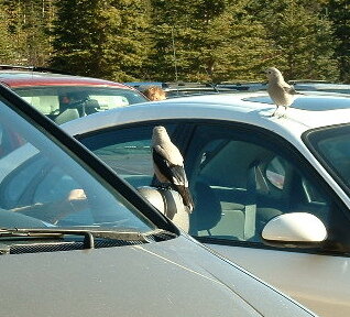 2005_1024�Σ�30053