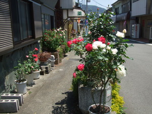 2012_0513河村城0140