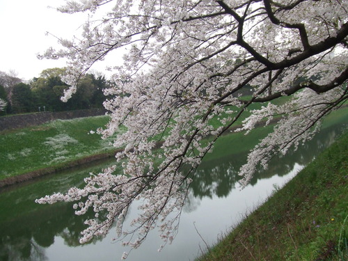 2008_0402H19��0087